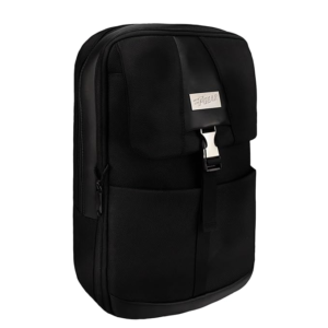F Gear Rogue Premium Laptop Backpack for Men & Women